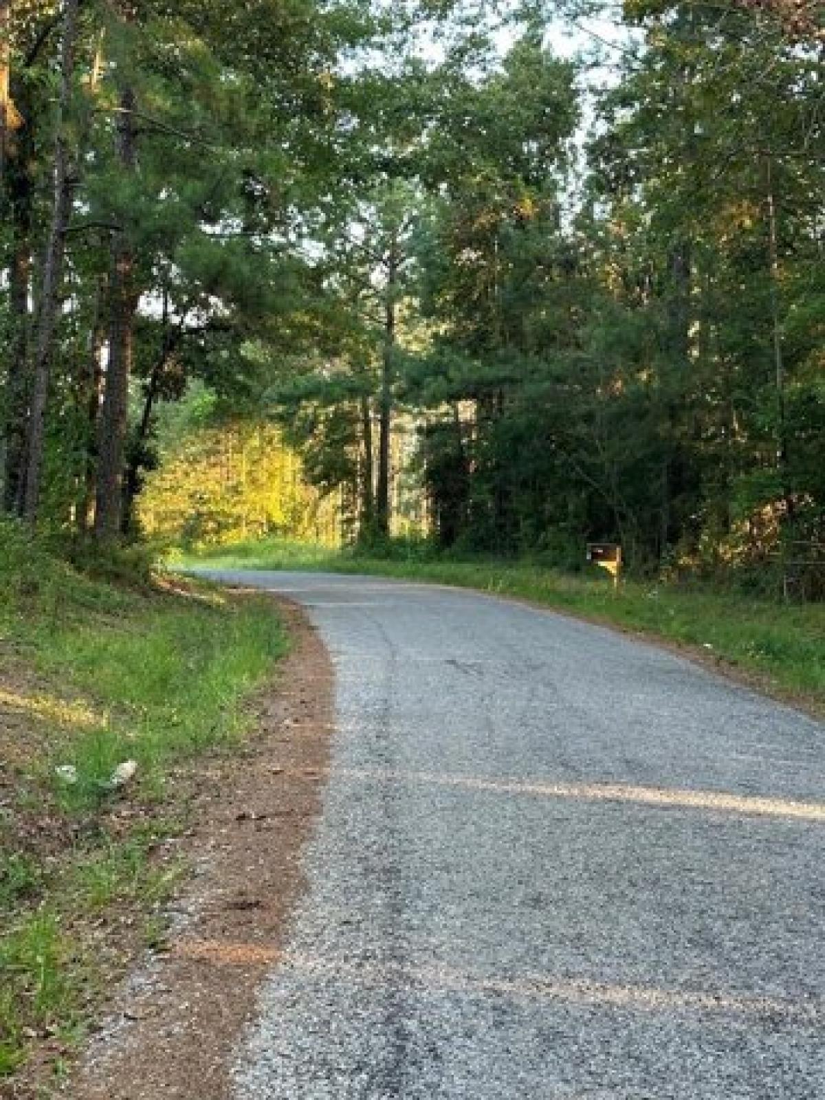 Picture of Residential Land For Sale in Mount Olive, Mississippi, United States