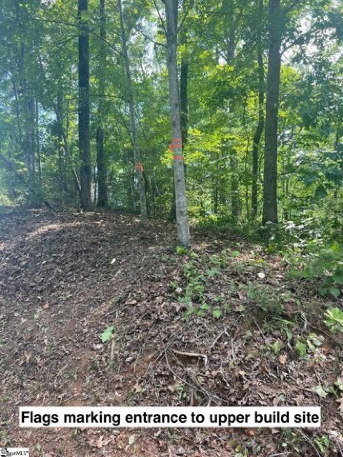 Picture of Residential Land For Sale in Sunset, South Carolina, United States