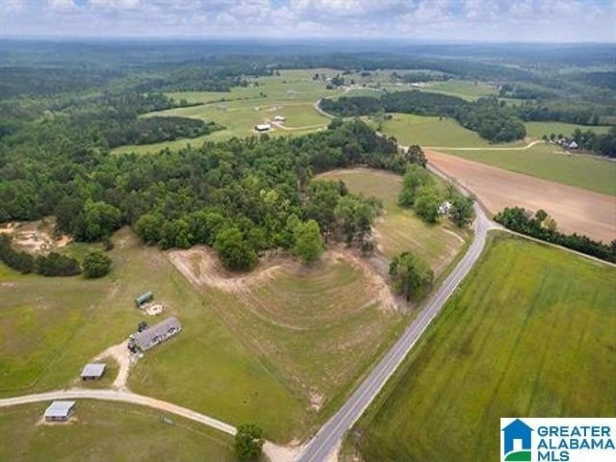 Picture of Residential Land For Sale in Maplesville, Alabama, United States