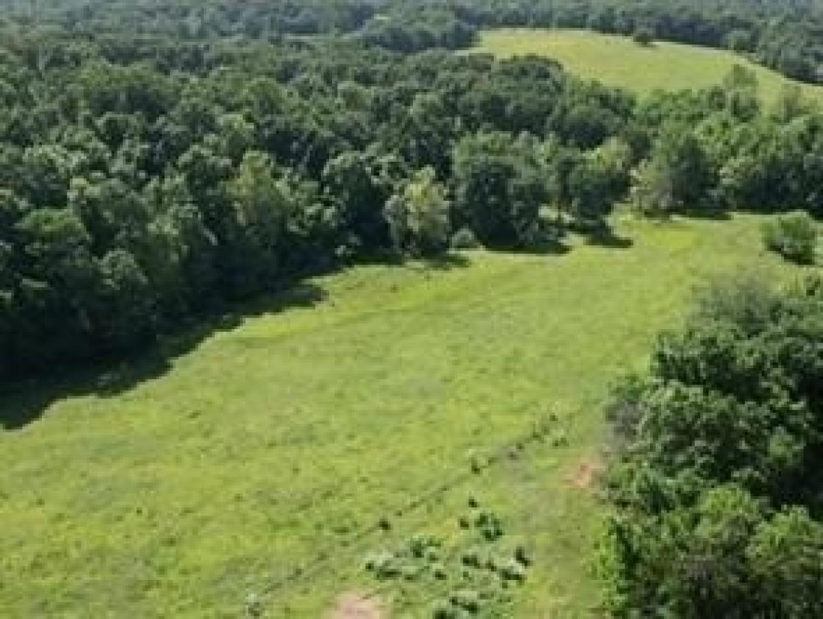 Picture of Residential Land For Sale in Decatur, Arkansas, United States