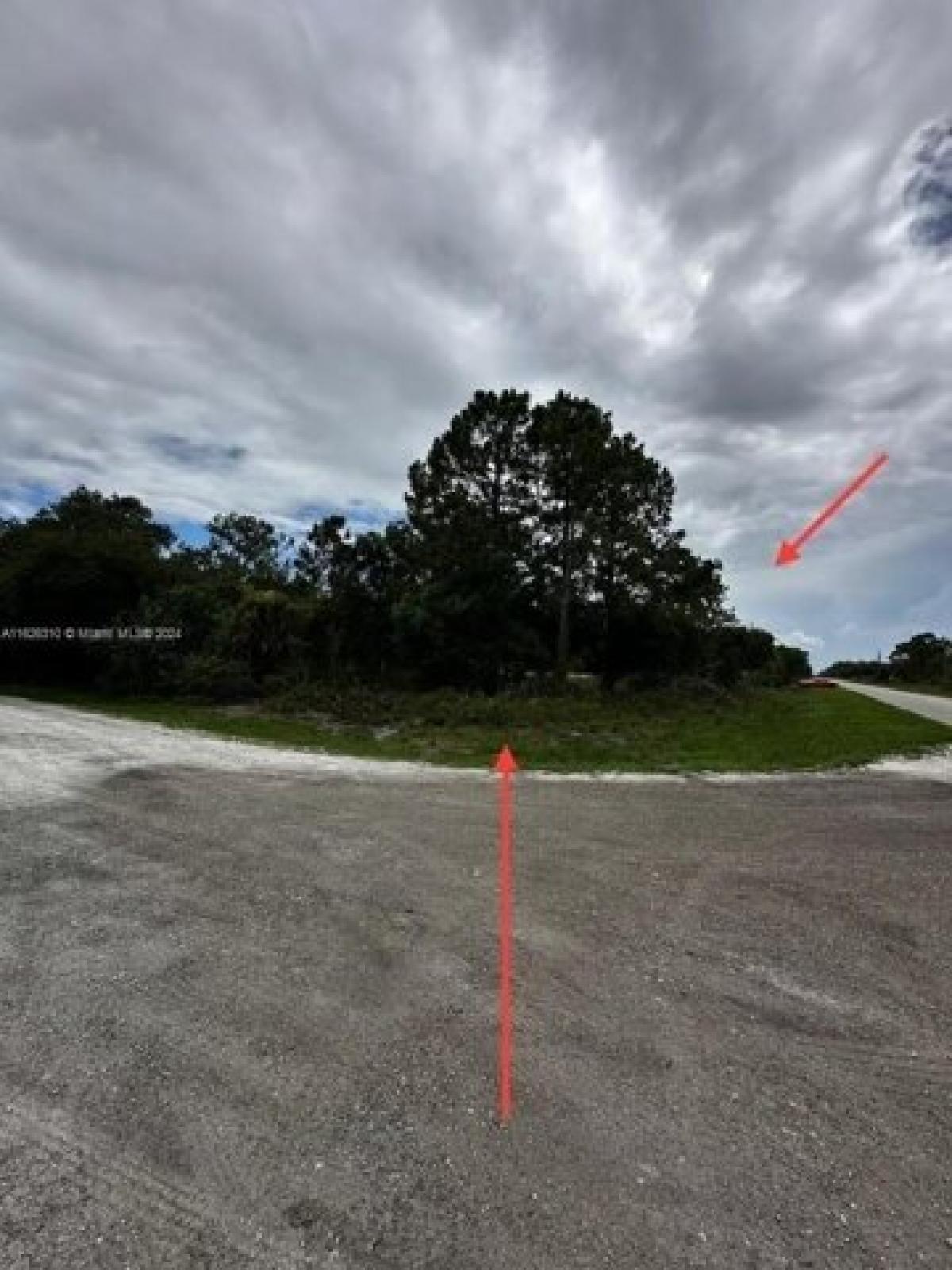 Picture of Residential Land For Sale in Clewiston, Florida, United States