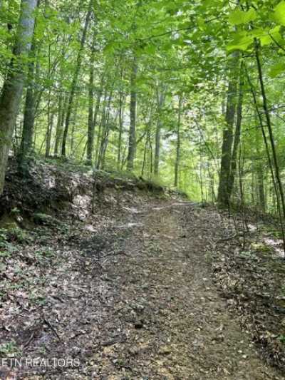 Residential Land For Sale in Tazewell, Tennessee