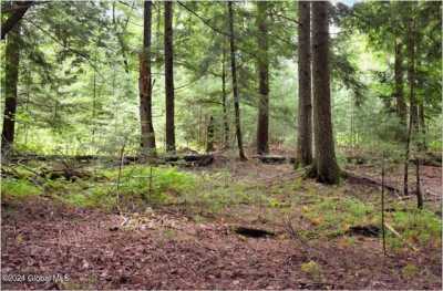 Residential Land For Sale in Chestertown, New York