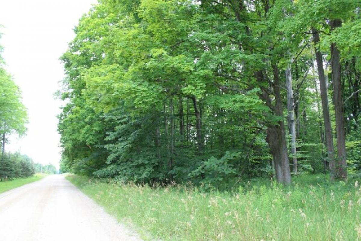 Picture of Residential Land For Sale in Frederic, Michigan, United States