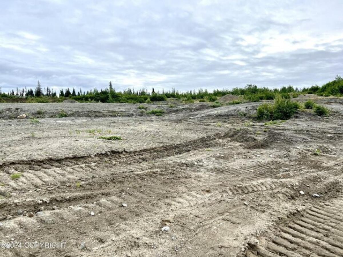 Picture of Residential Land For Sale in Anchor Point, Alaska, United States