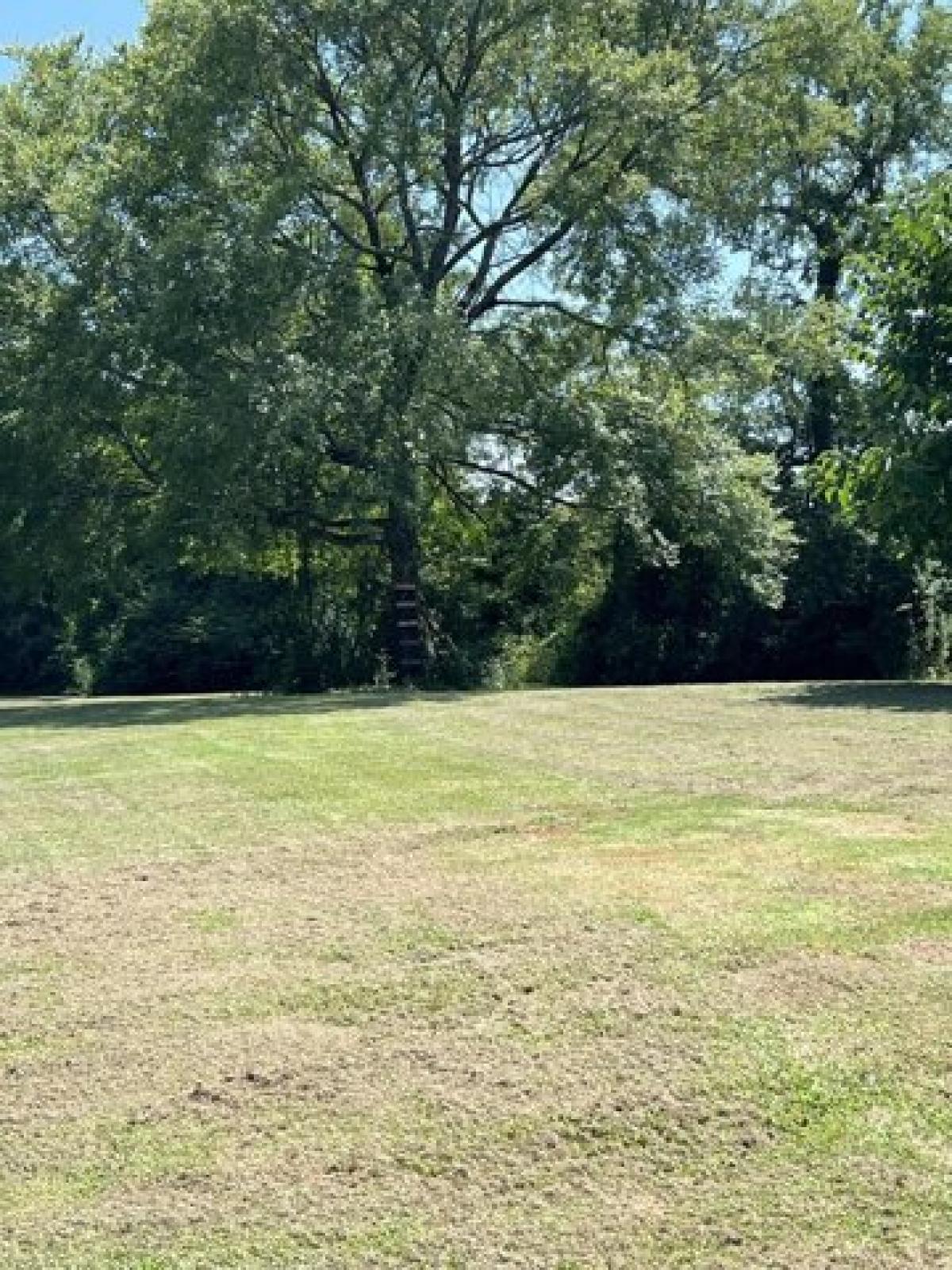 Picture of Home For Sale in Plainview, Arkansas, United States