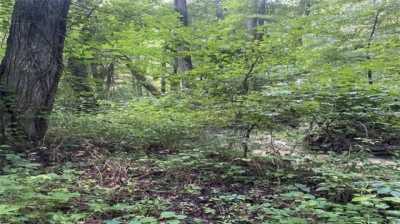 Residential Land For Sale in Greensboro, North Carolina