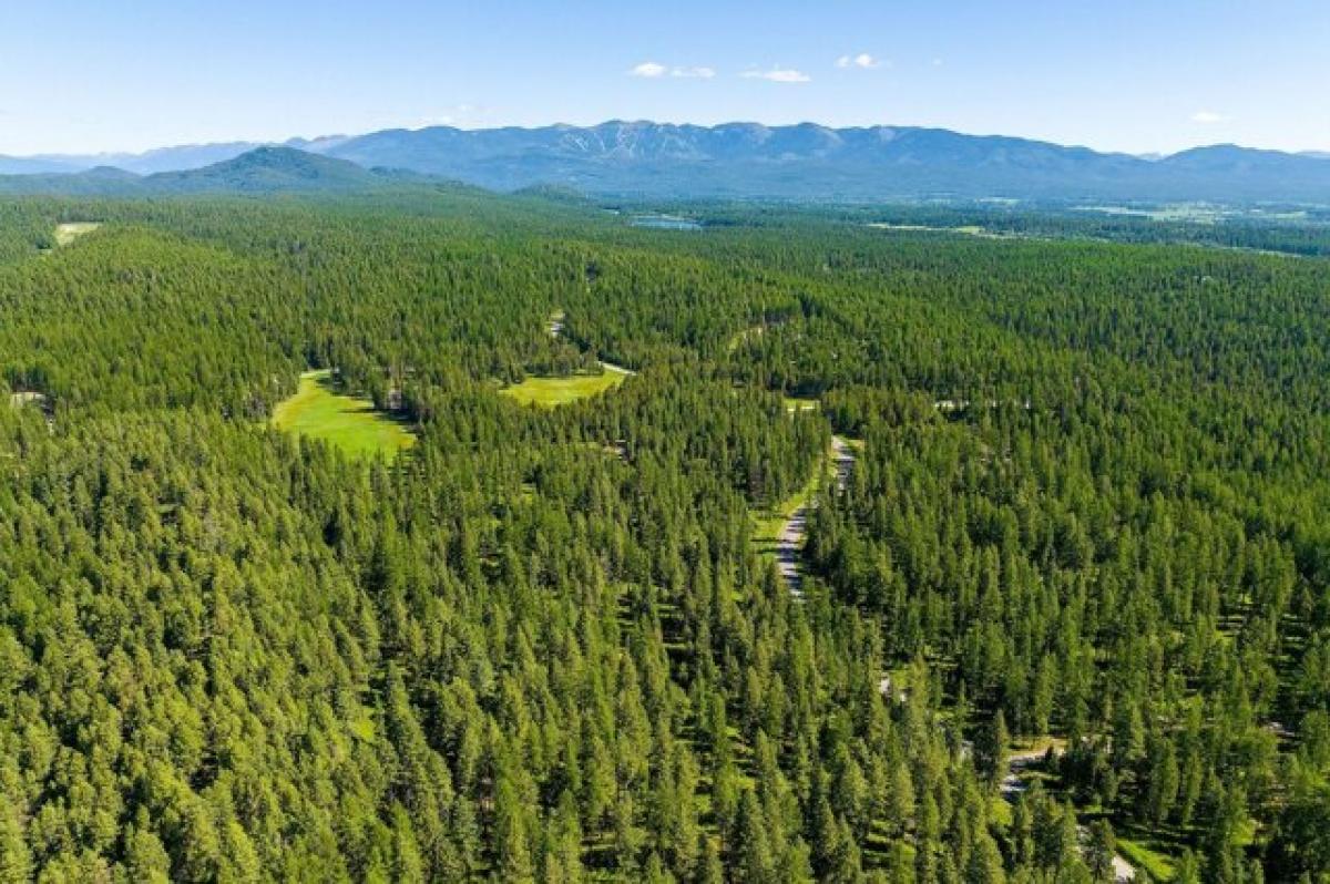 Picture of Residential Land For Sale in Whitefish, Montana, United States