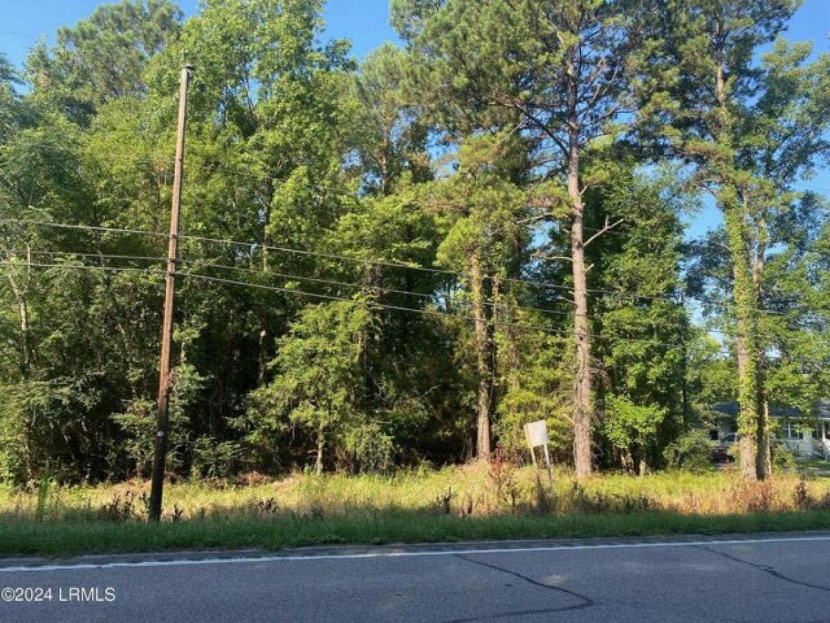 Picture of Residential Land For Sale in Allendale, South Carolina, United States