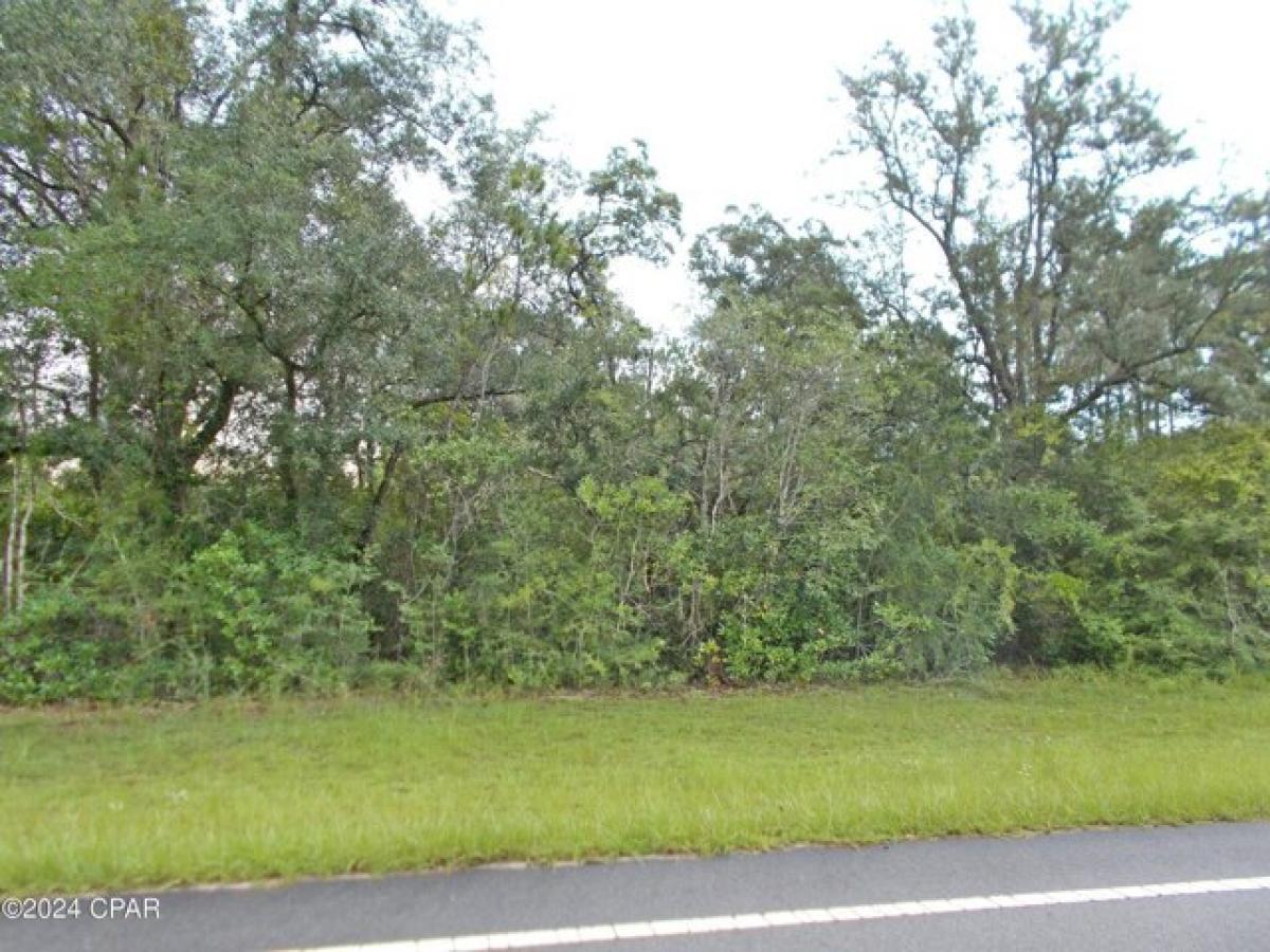 Picture of Residential Land For Sale in Marianna, Florida, United States