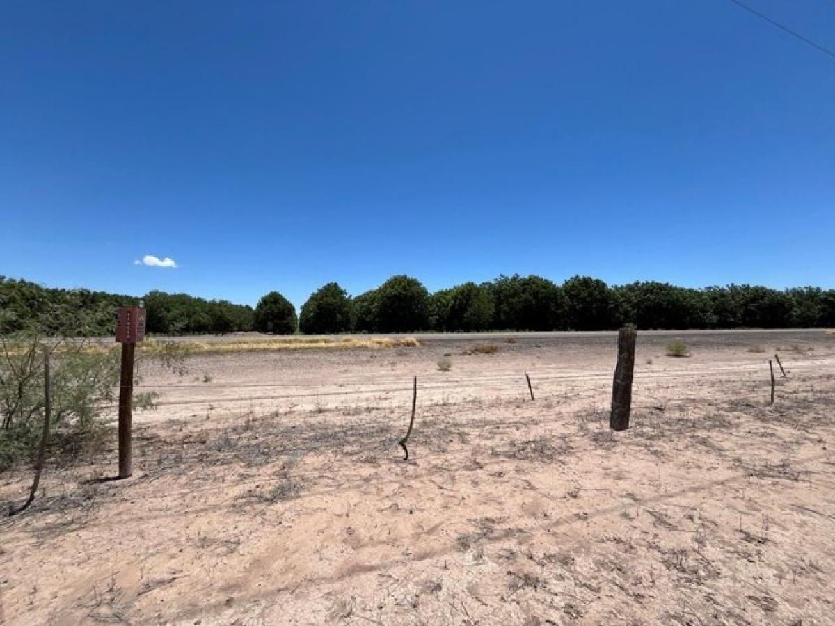 Picture of Residential Land For Sale in Van Horn, Texas, United States