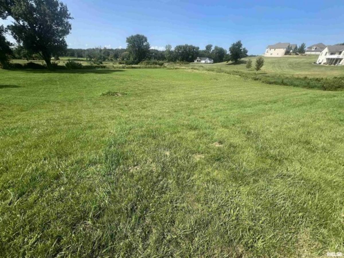 Picture of Residential Land For Sale in Clinton, Iowa, United States