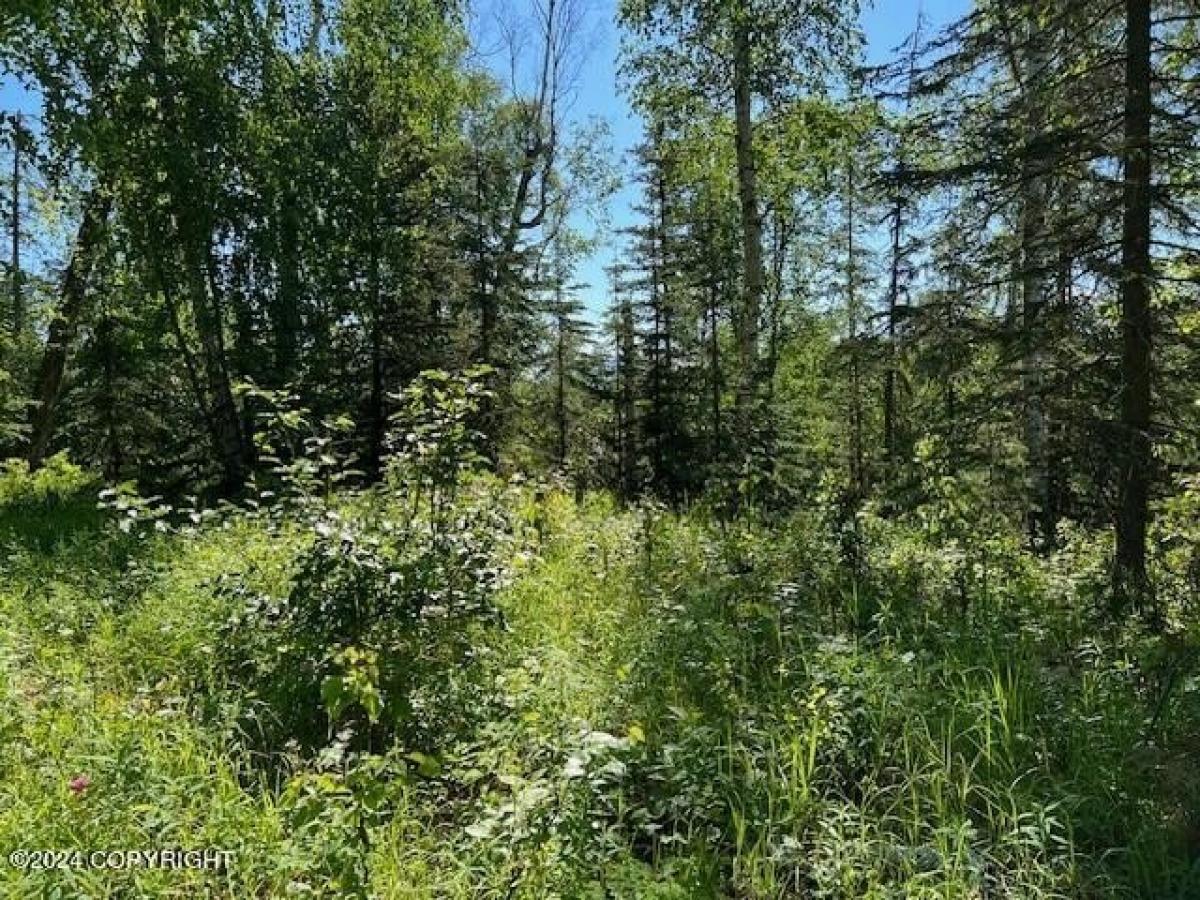 Picture of Residential Land For Sale in Wasilla, Alaska, United States