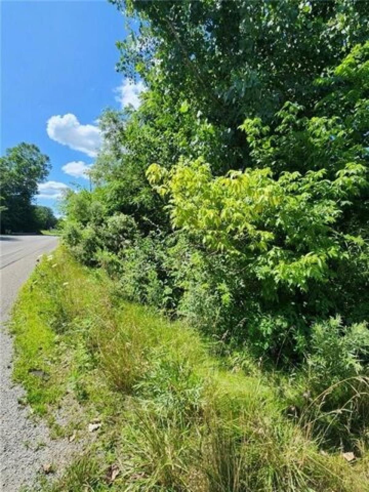 Picture of Residential Land For Rent in New Castle, Pennsylvania, United States