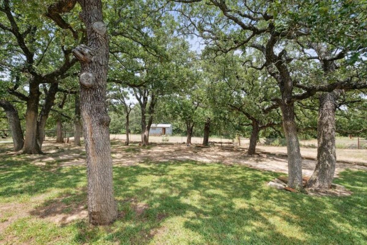 Picture of Residential Land For Sale in Springtown, Texas, United States