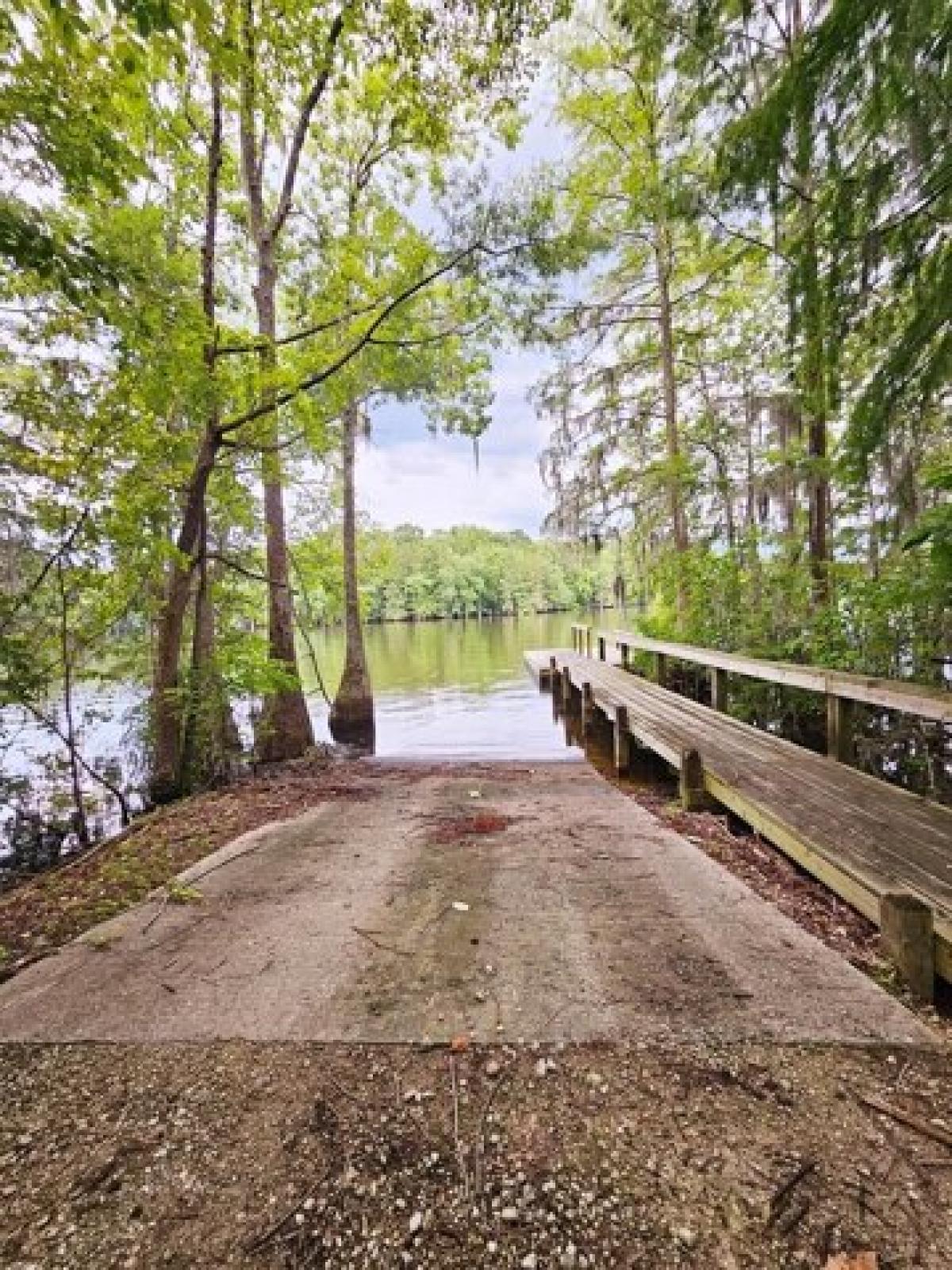 Picture of Residential Land For Sale in Elloree, South Carolina, United States