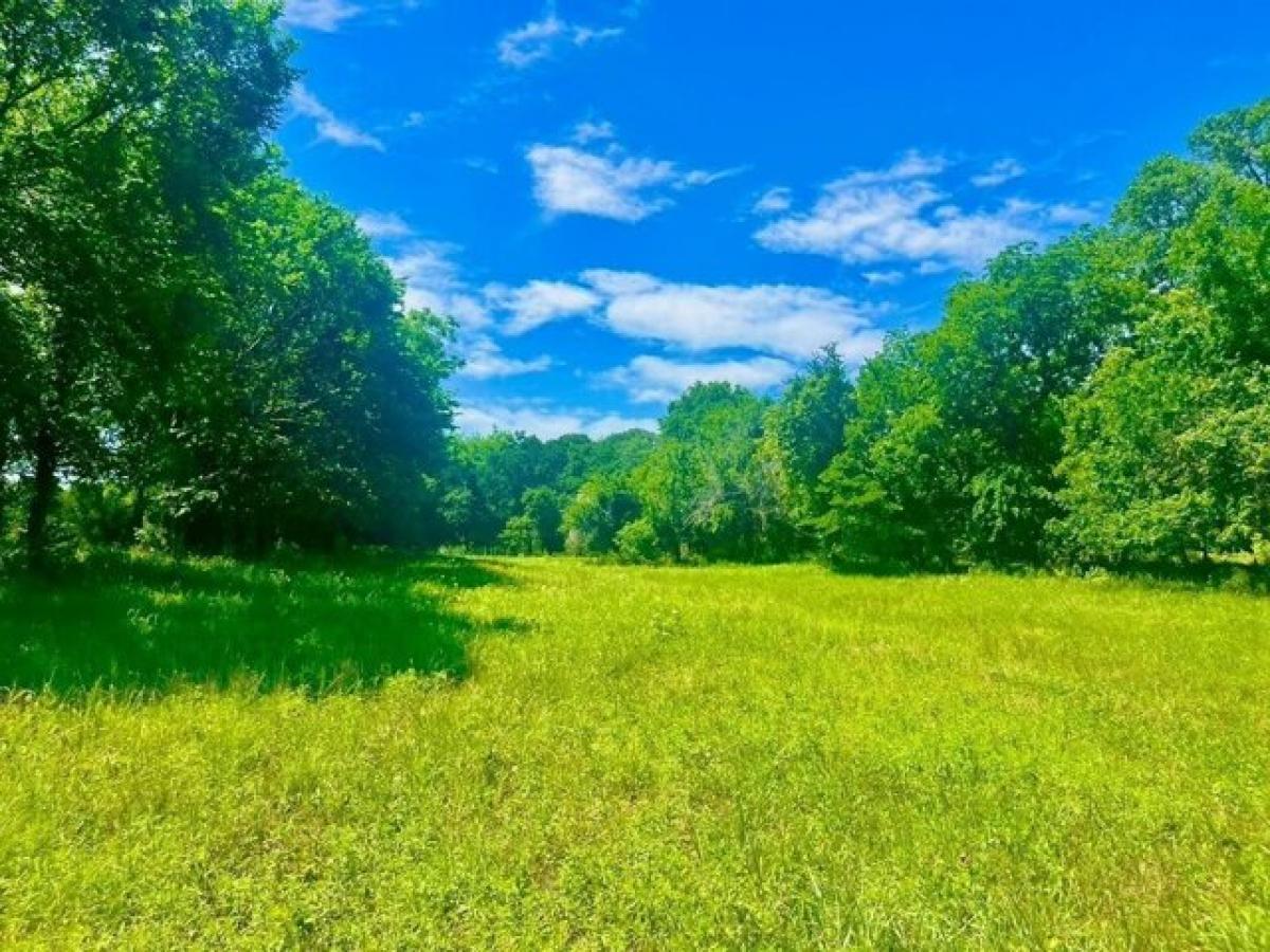 Picture of Residential Land For Sale in Poolville, Texas, United States