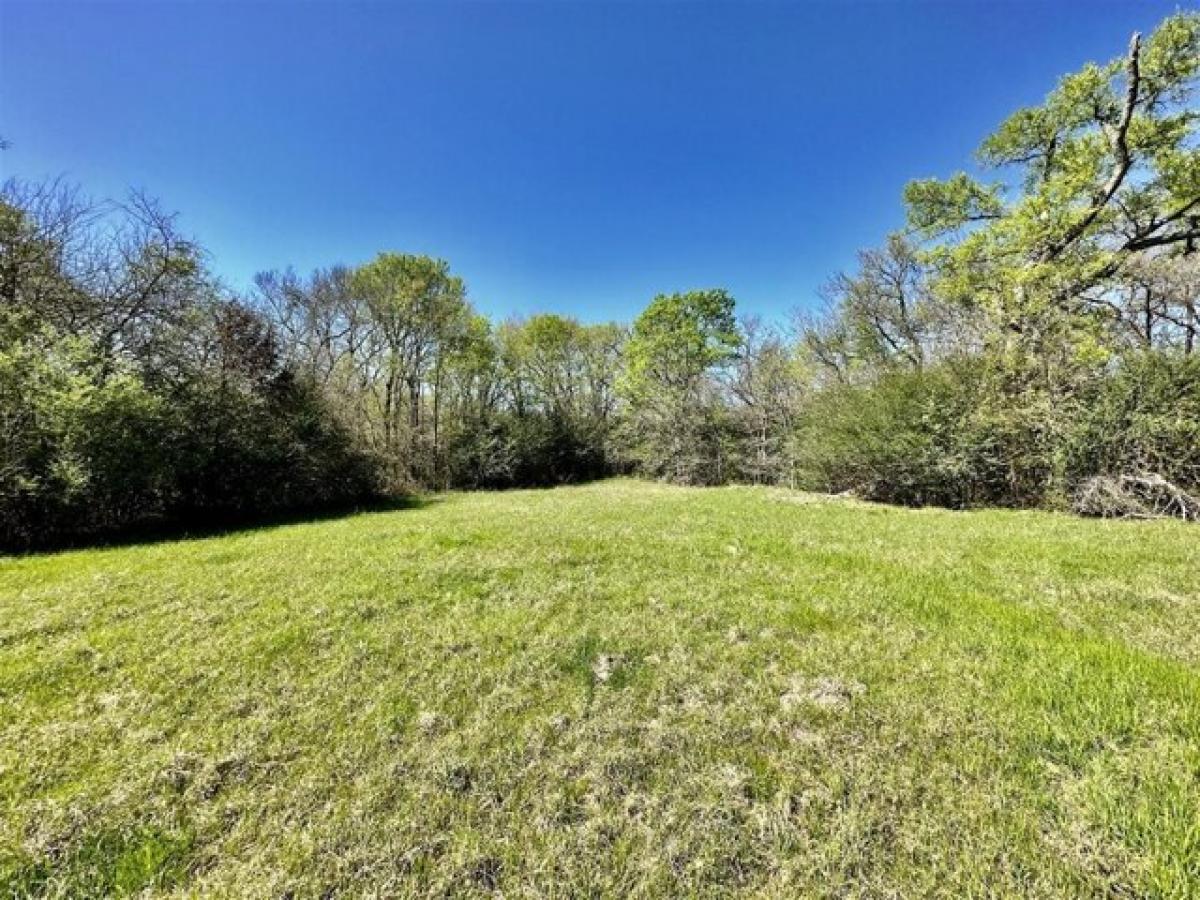 Picture of Residential Land For Sale in Navasota, Texas, United States