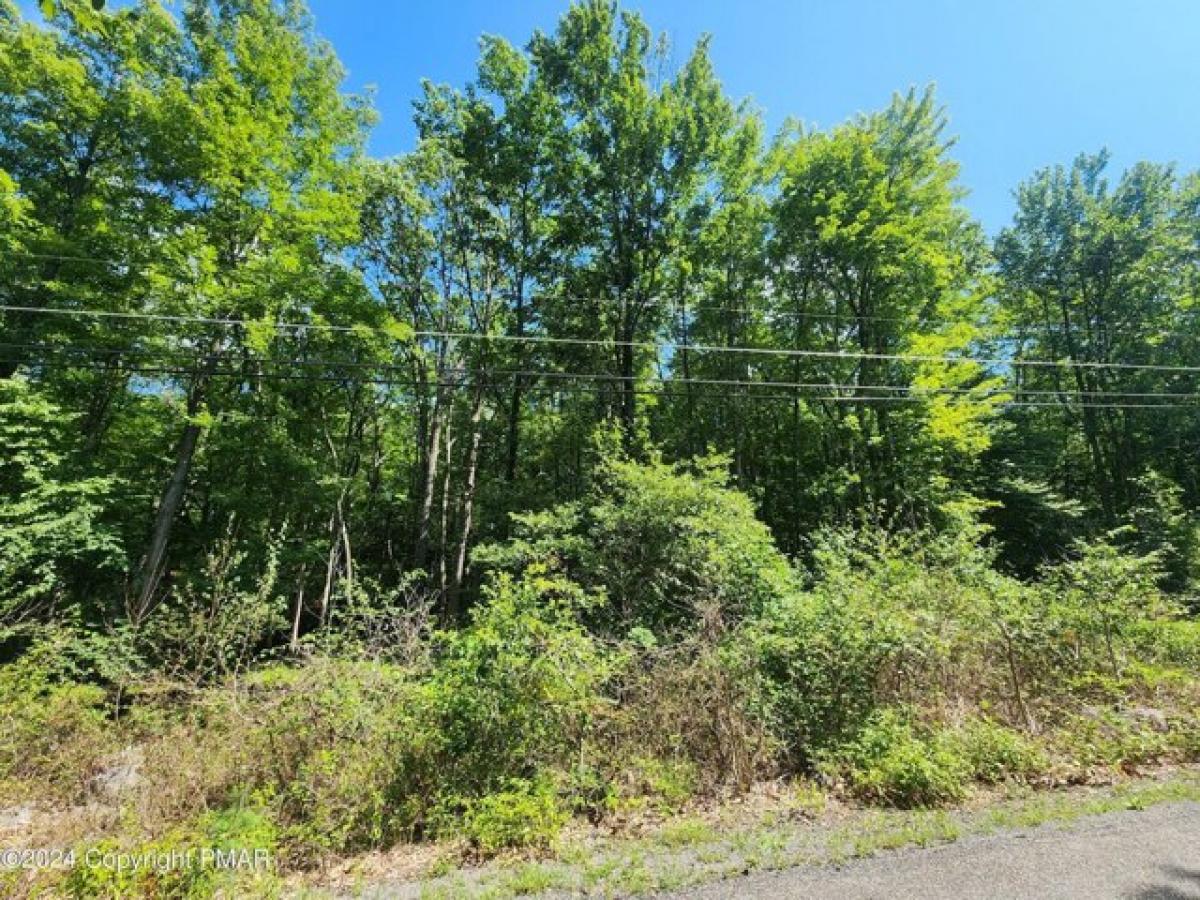 Picture of Residential Land For Sale in Jim Thorpe, Pennsylvania, United States