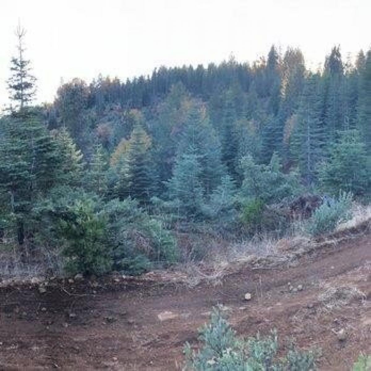 Picture of Residential Land For Sale in Foresthill, California, United States