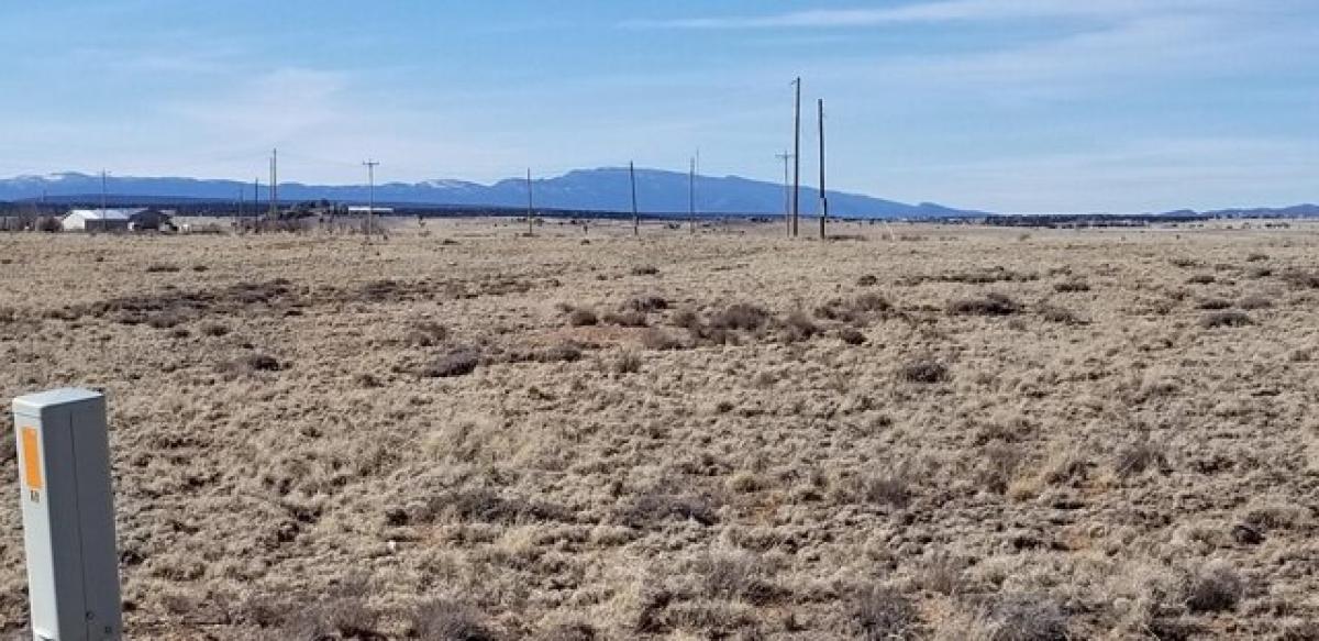 Picture of Residential Land For Sale in Moriarty, New Mexico, United States