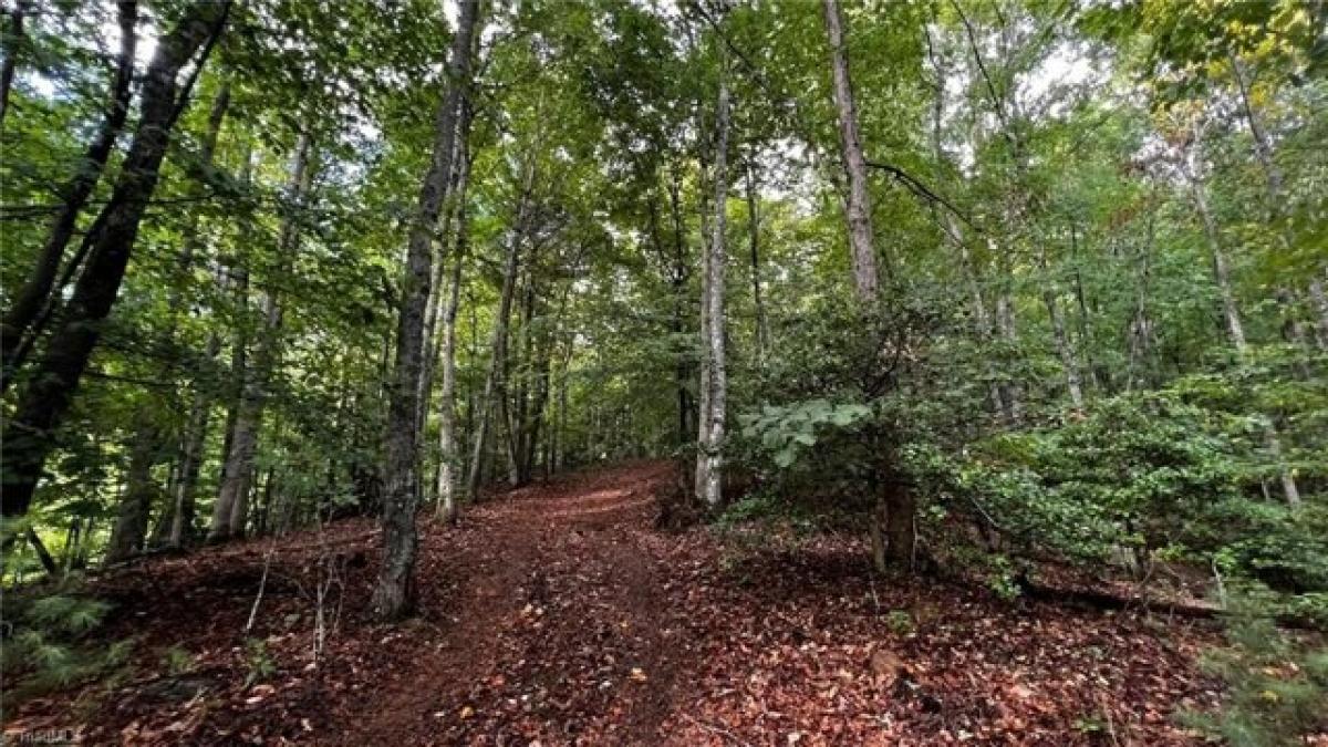 Picture of Residential Land For Sale in Moravian Falls, North Carolina, United States