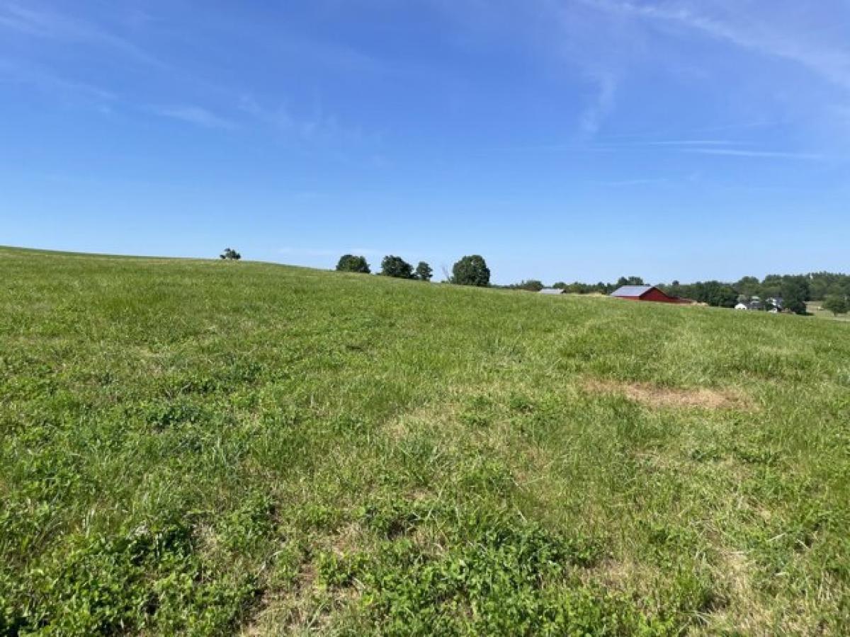 Picture of Residential Land For Sale in Cynthiana, Kentucky, United States