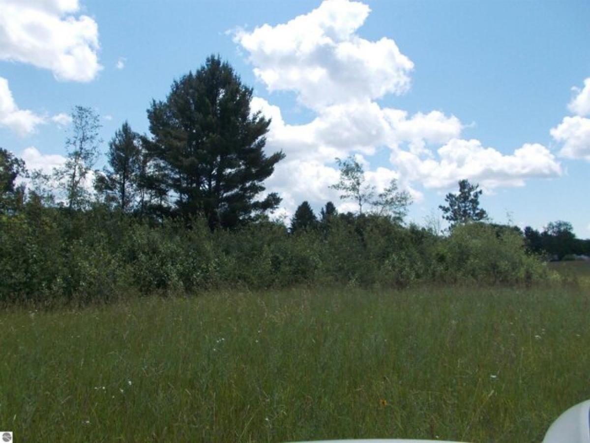 Picture of Residential Land For Sale in Glennie, Michigan, United States