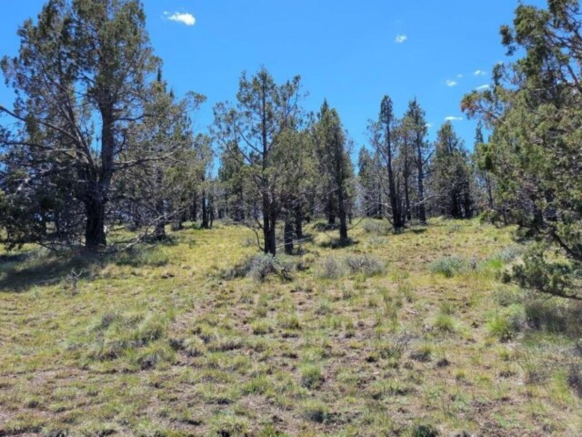 Picture of Residential Land For Sale in Prineville, Oregon, United States