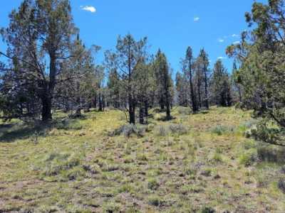 Residential Land For Sale in Prineville, Oregon