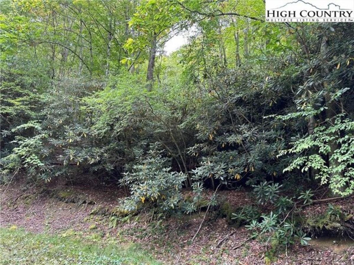 Picture of Residential Land For Sale in Beech Mountain, North Carolina, United States