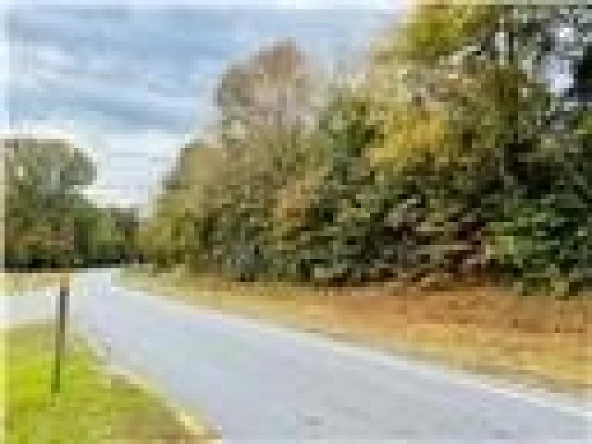 Picture of Residential Land For Sale in Abbeville, South Carolina, United States