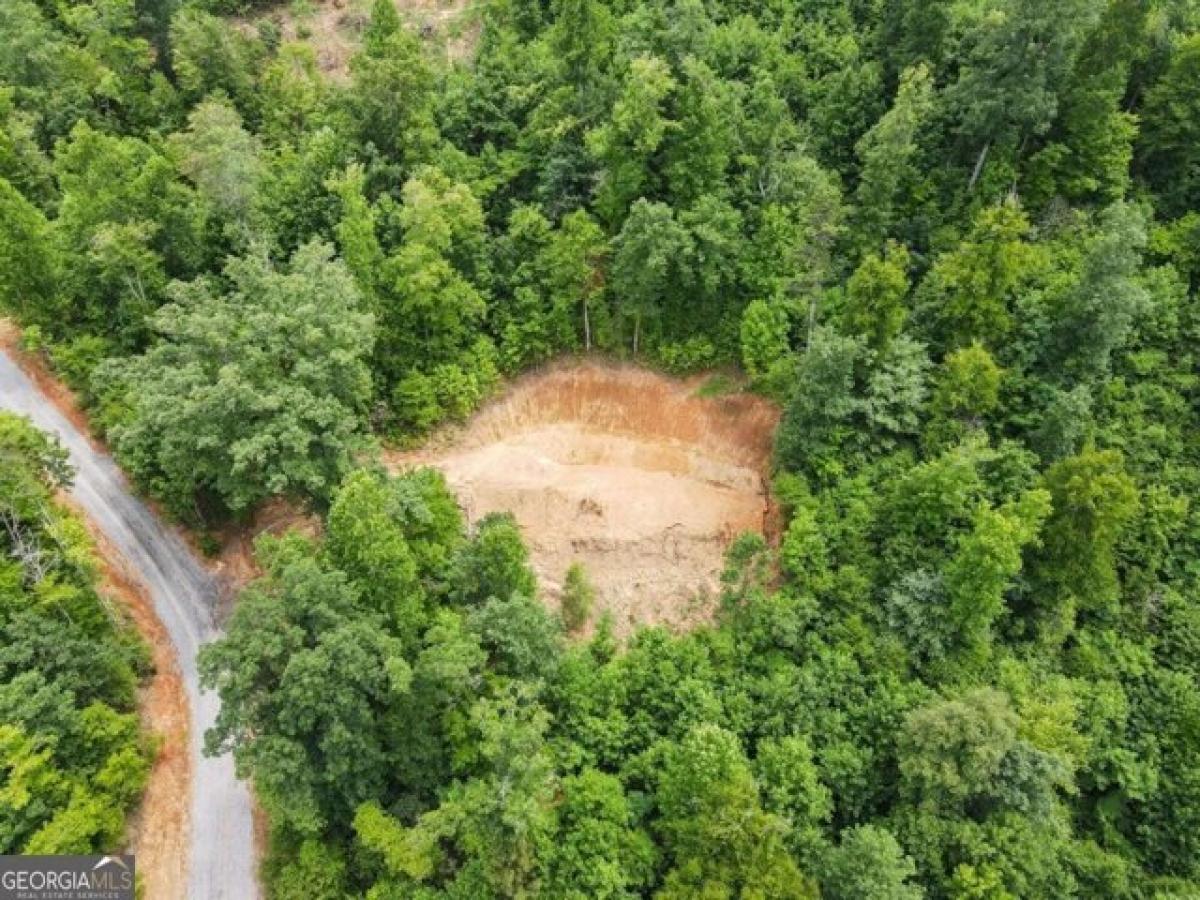 Picture of Residential Land For Sale in Hiawassee, Georgia, United States