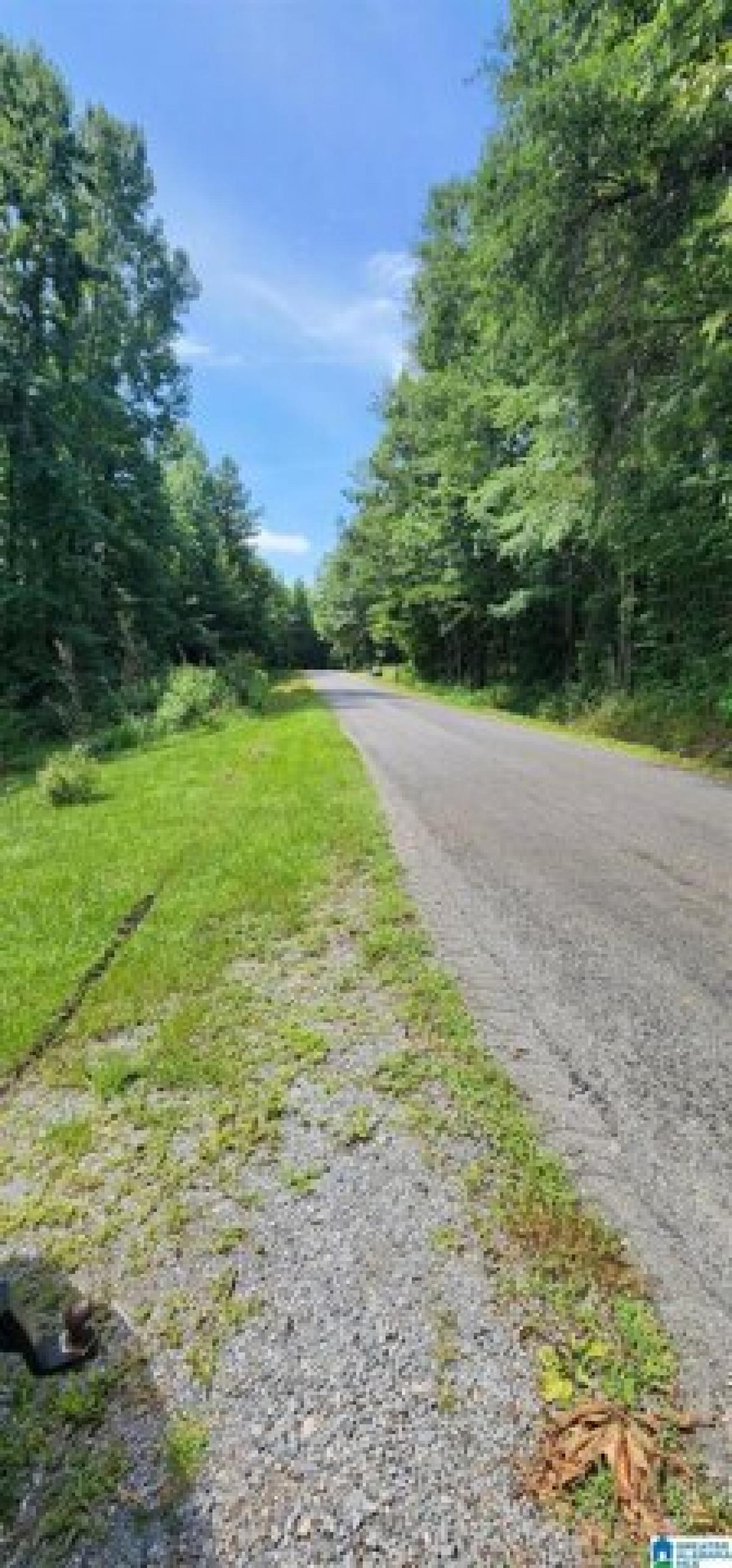 Picture of Residential Land For Sale in Altoona, Alabama, United States