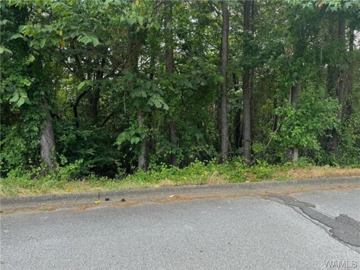 Picture of Residential Land For Sale in Northport, Alabama, United States