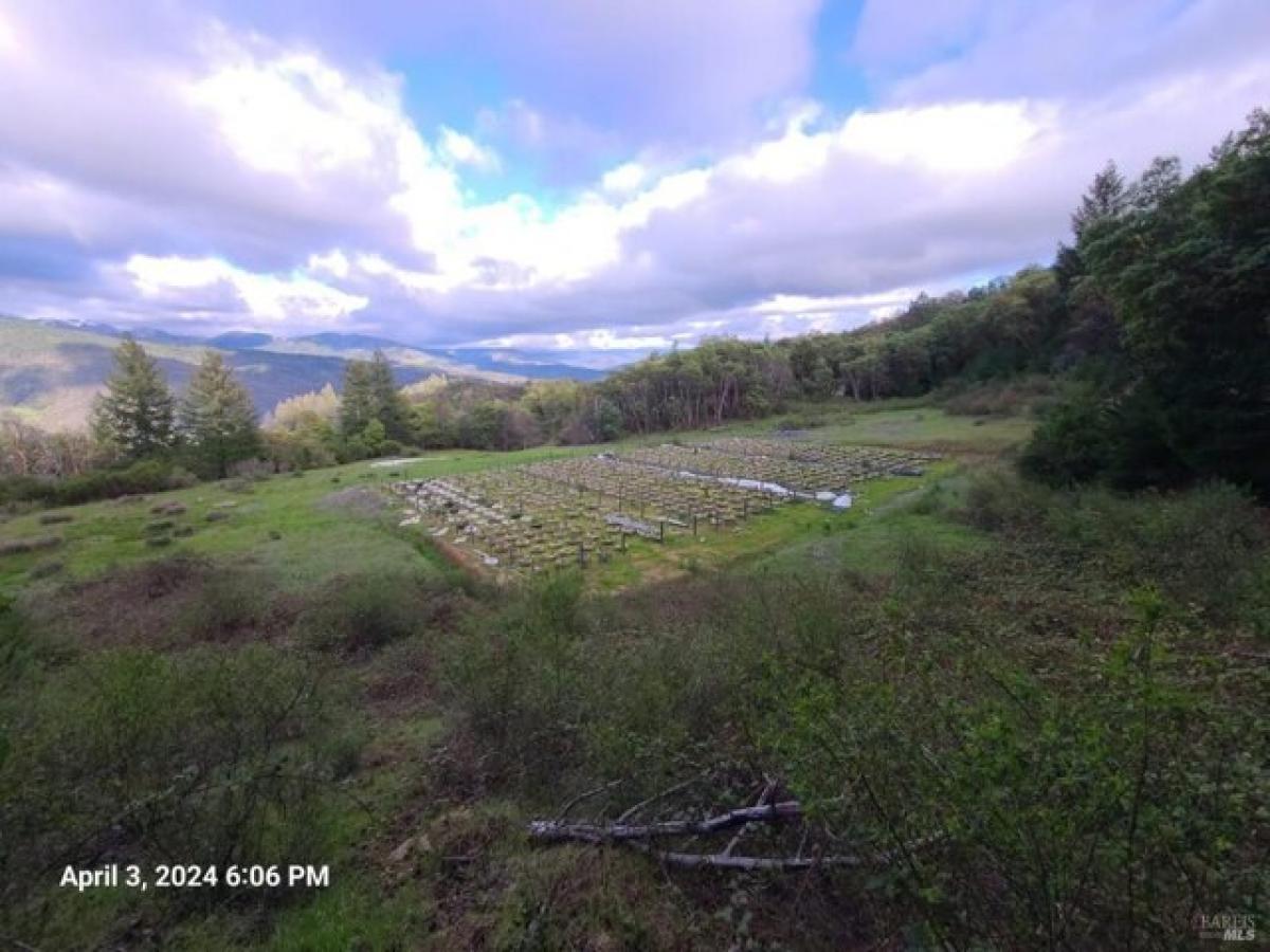 Picture of Home For Sale in Covelo, California, United States