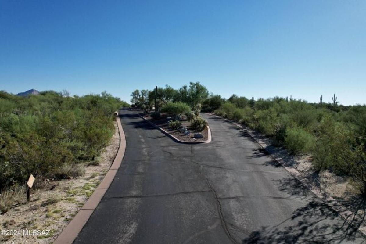 Picture of Residential Land For Sale in Oro Valley, Arizona, United States