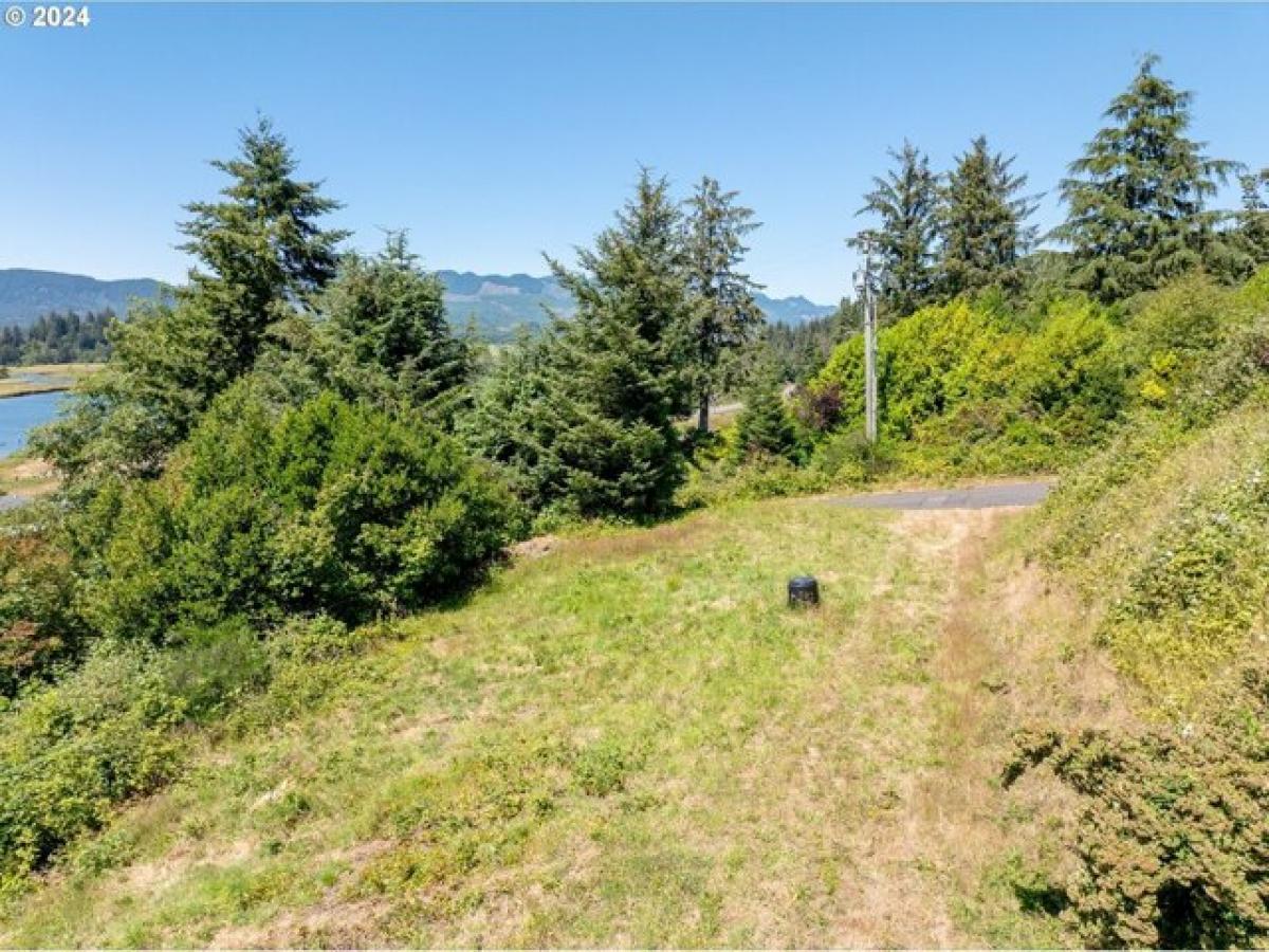 Picture of Residential Land For Sale in Wheeler, Oregon, United States