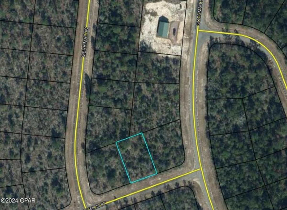 Picture of Residential Land For Rent in Chipley, Florida, United States