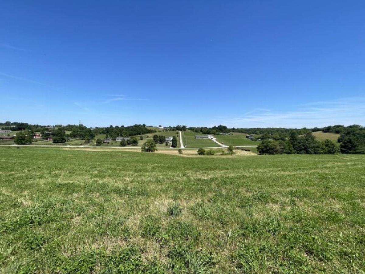 Picture of Residential Land For Sale in Cynthiana, Kentucky, United States