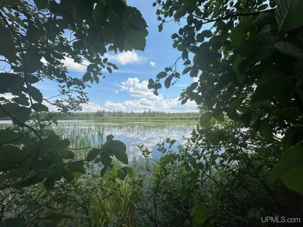 Picture of Residential Land For Sale in Iron River, Michigan, United States