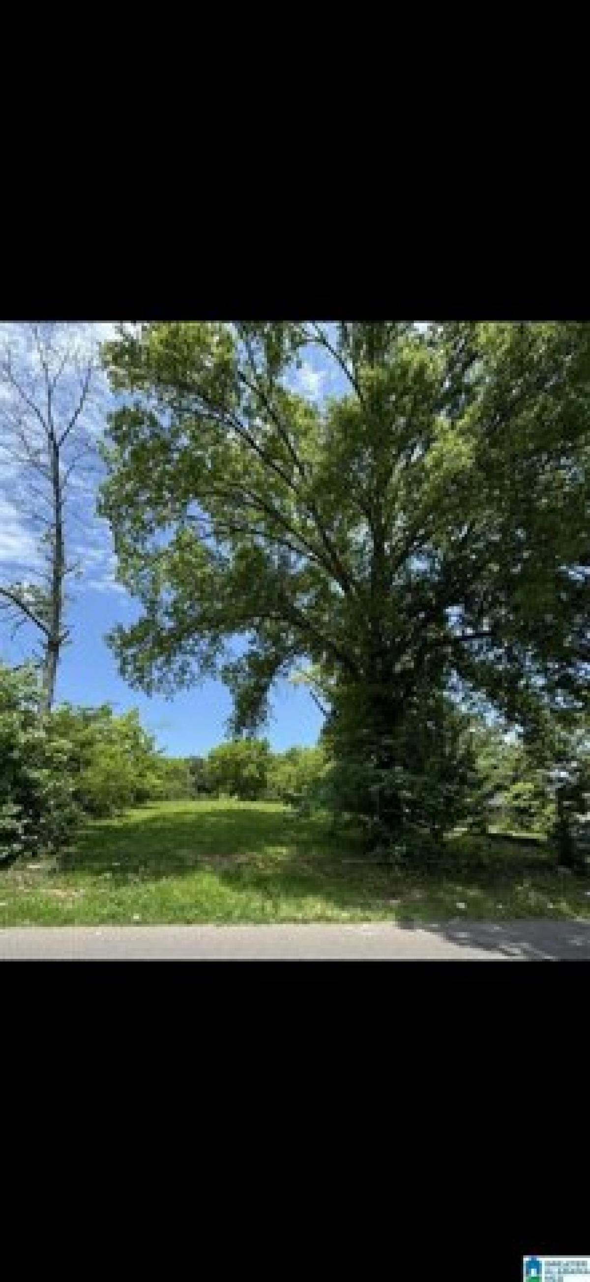 Picture of Residential Land For Sale in Center Point, Alabama, United States