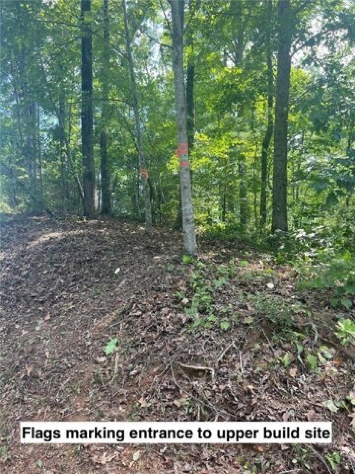 Picture of Residential Land For Sale in Sunset, South Carolina, United States