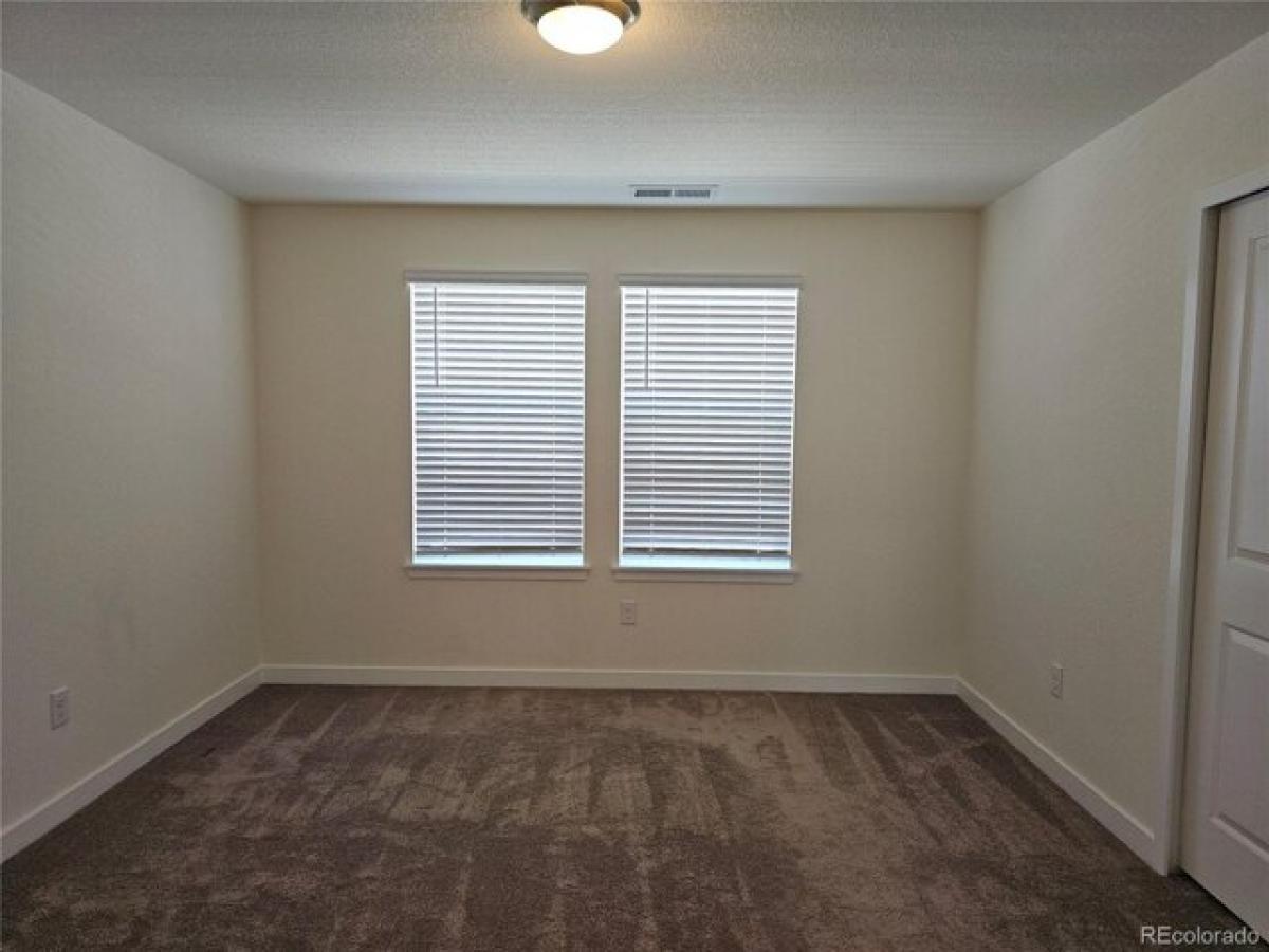 Picture of Home For Rent in Erie, Colorado, United States