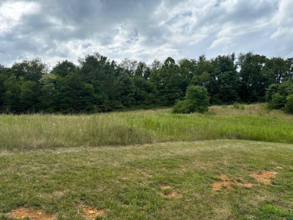 Picture of Residential Land For Sale in Pulaski, Virginia, United States