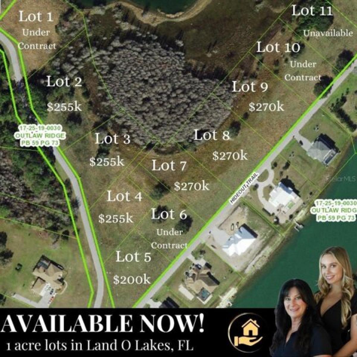 Picture of Residential Land For Sale in Land O Lakes, Florida, United States