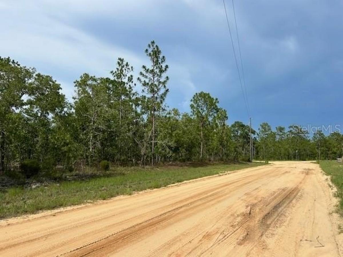 Picture of Residential Land For Sale in Hawthorne, Florida, United States