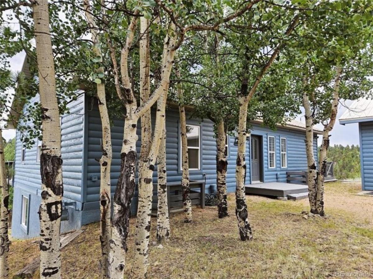 Picture of Home For Sale in Divide, Colorado, United States