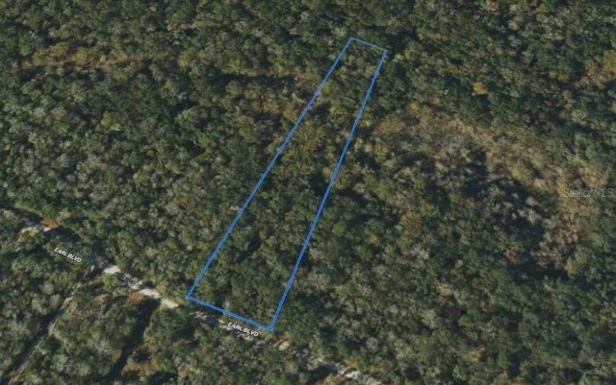 Picture of Residential Land For Sale in Branford, Florida, United States