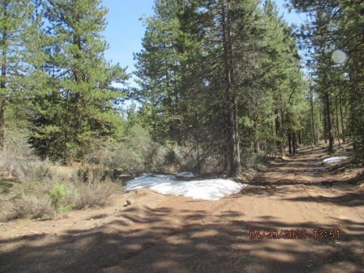 Picture of Residential Land For Sale in Bonanza, Oregon, United States